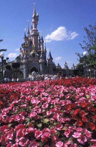 Le château de la belle au bois dormant et le parterre de fleurs de Central Plazza
