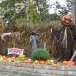 Citrouilles et maïs prennent vie à Nigloland pour Halloween