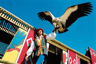 Le Vautour et l'homme - Bal des Oiseaux Fantômes au Puy du Fou