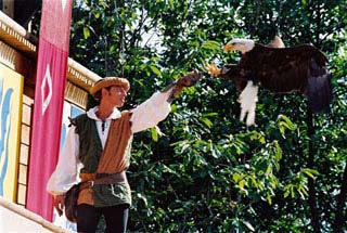 Bal des Oiseaux Fantômes au Puy du Fou