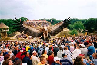 Le Vautour passant au dessus des spectateurs - Bal des Oiseaux Fantômes au Puy du Fou