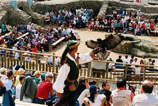 Un fauconnier - Bal des Oiseaux Fantômes au Puy du Fou